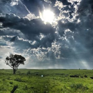 Flint Hills